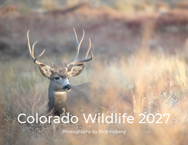 2027 Colorado Wildlife Calendar