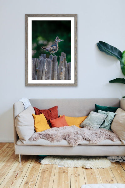 Running the Latillas